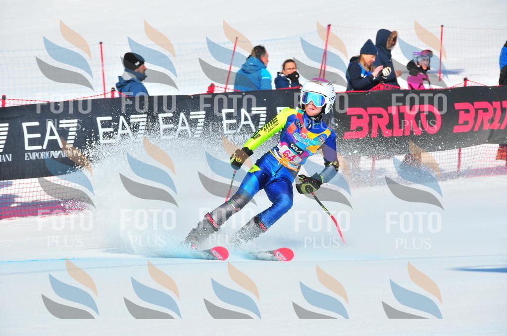 DSC_4229 | holidayphoto