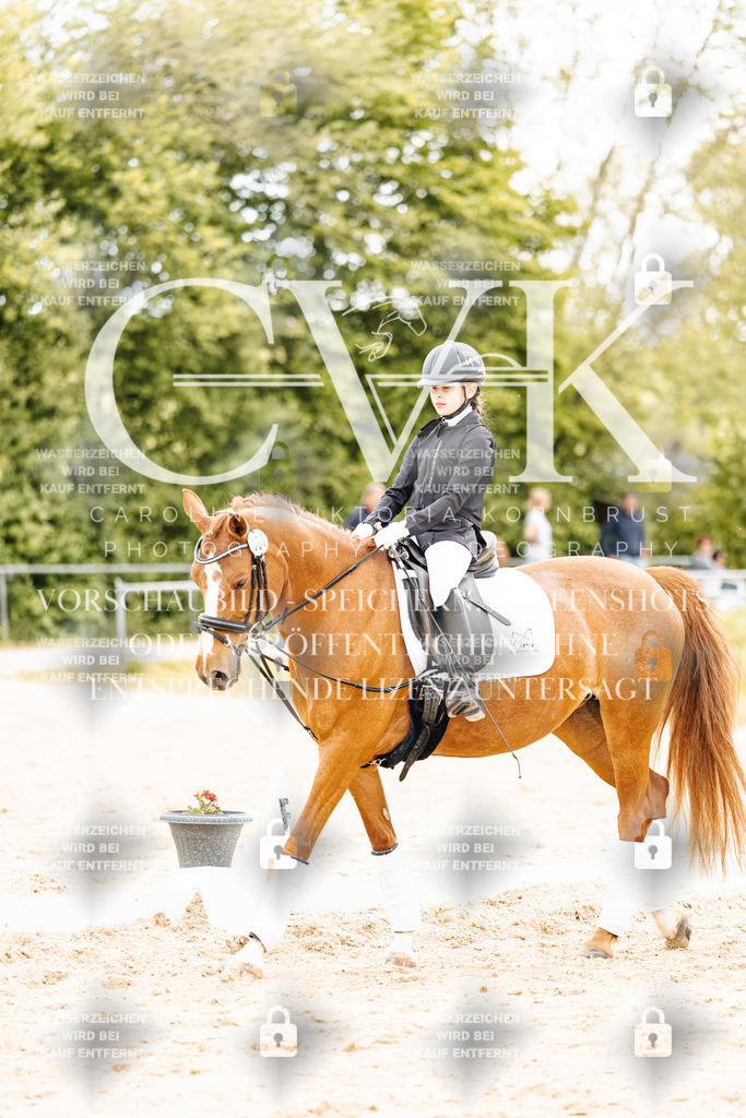 CK904179 | Turnierfotografie Pferdefotografie Trier Rheinland-Pfalz Pferdesport Reitsport Tierfotografie Sportfotografie Pferdevideo Pferdevideografie Equestrianvideography equestrianphotography  - Realisiert mit Pictrs.com