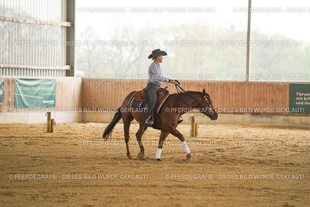 DSC09984 | Pferdegrafie