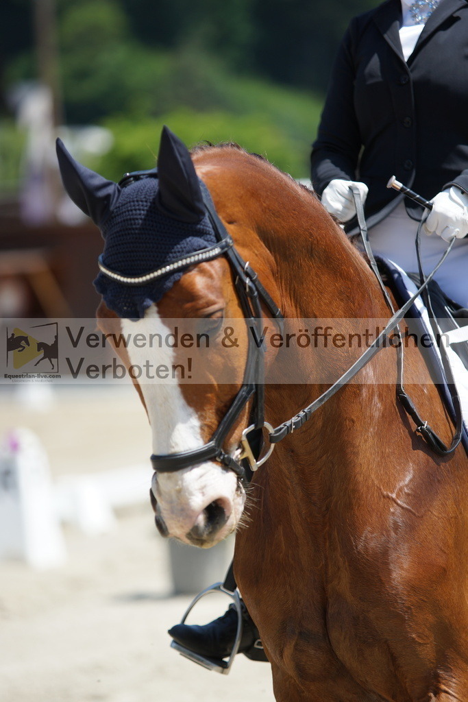 DSC04747 | equestrian-live-com