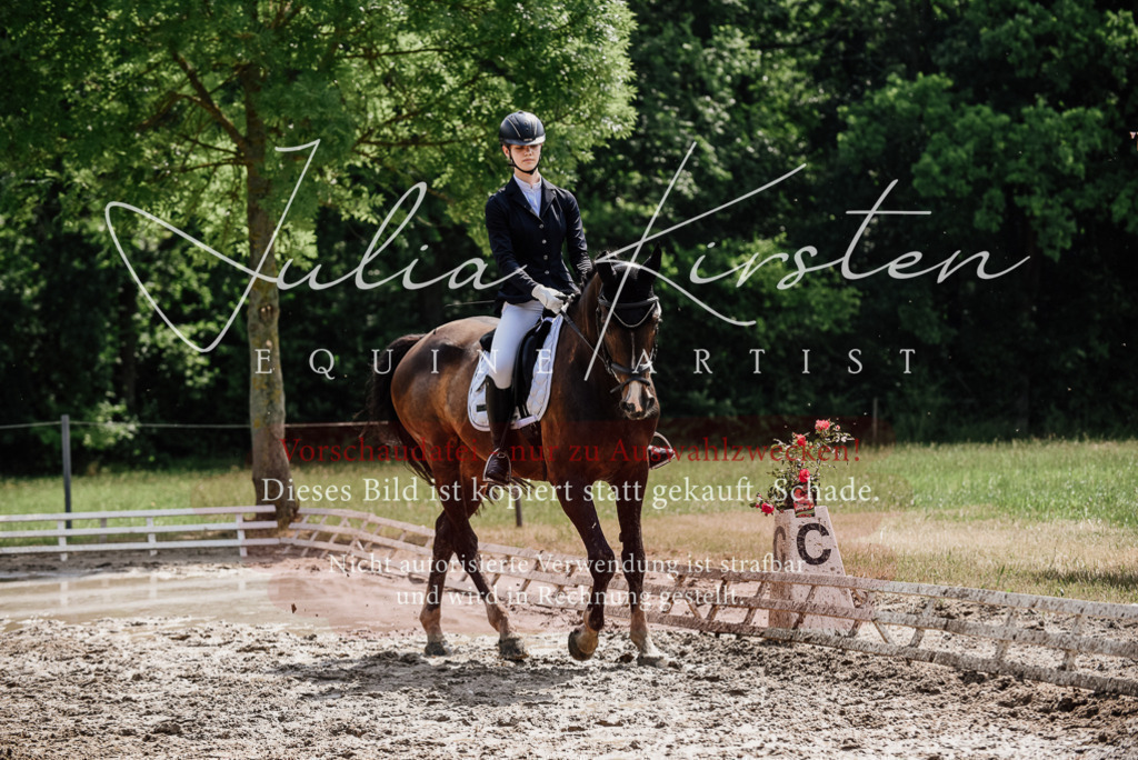 DSC_0831 | Pferde- und Turnierfotografie in Westsachsen. Pferdeportraits, Auftragszeichnungen und intuitive Kunst.