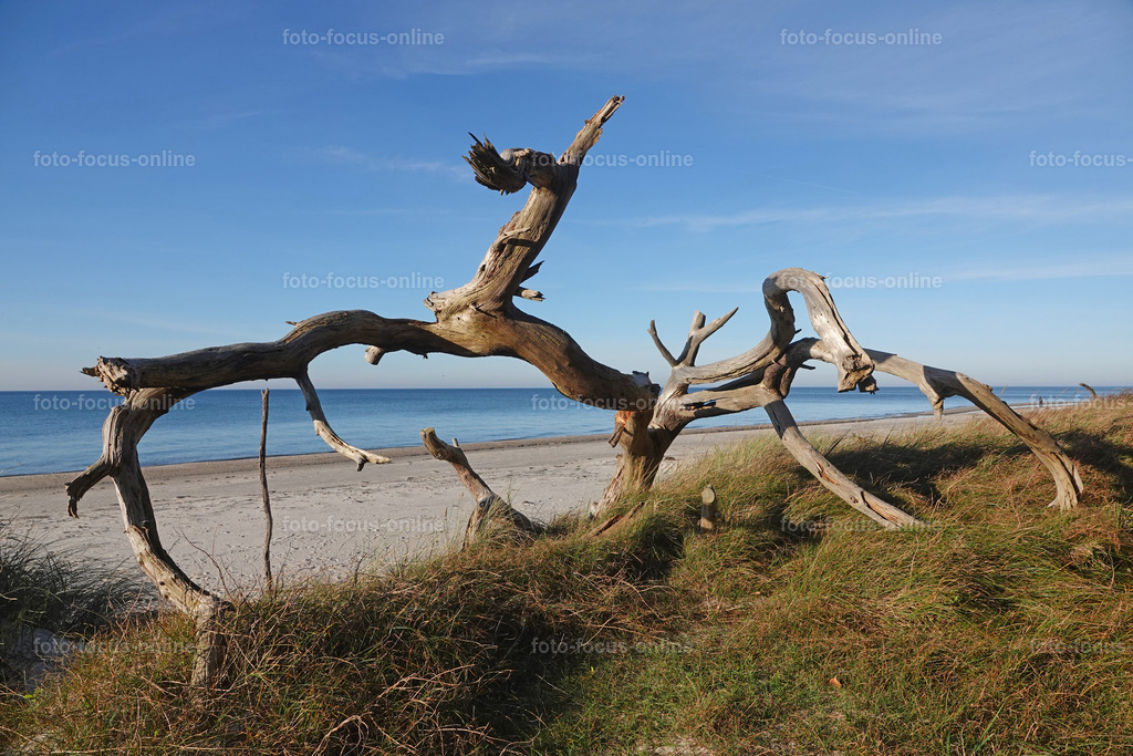 55 | foto-focus-online