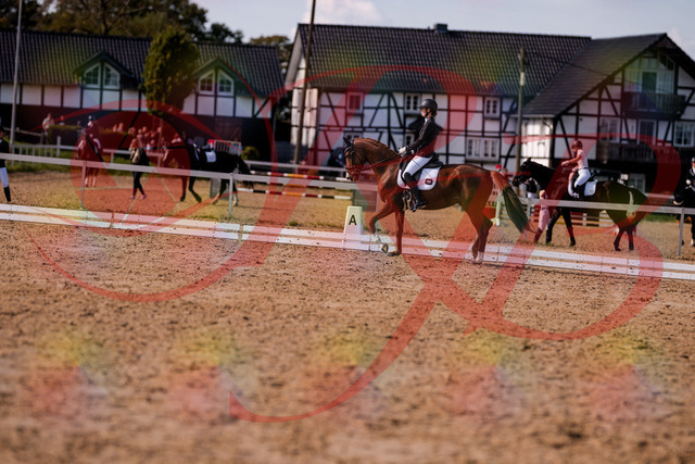 2026_10_03_Siefer-Hof_133143_Z81_86170758 | Professionelle Reitsport-, Turnier- und Eventfotografie von Robert Broda. Galerien mit ausgewählten und bearbeiteten Bildern direkt online ansehen und bestellen.