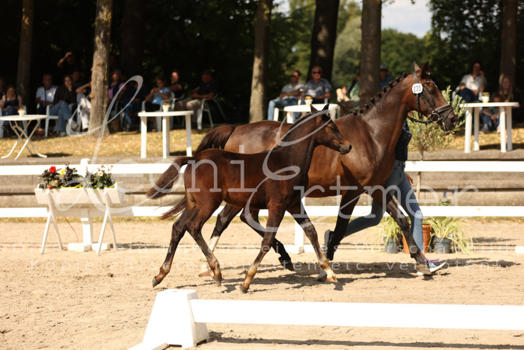 08.DoRPS00032 | Leoni Ertmer Photography - Realisiert mit Pictrs.com