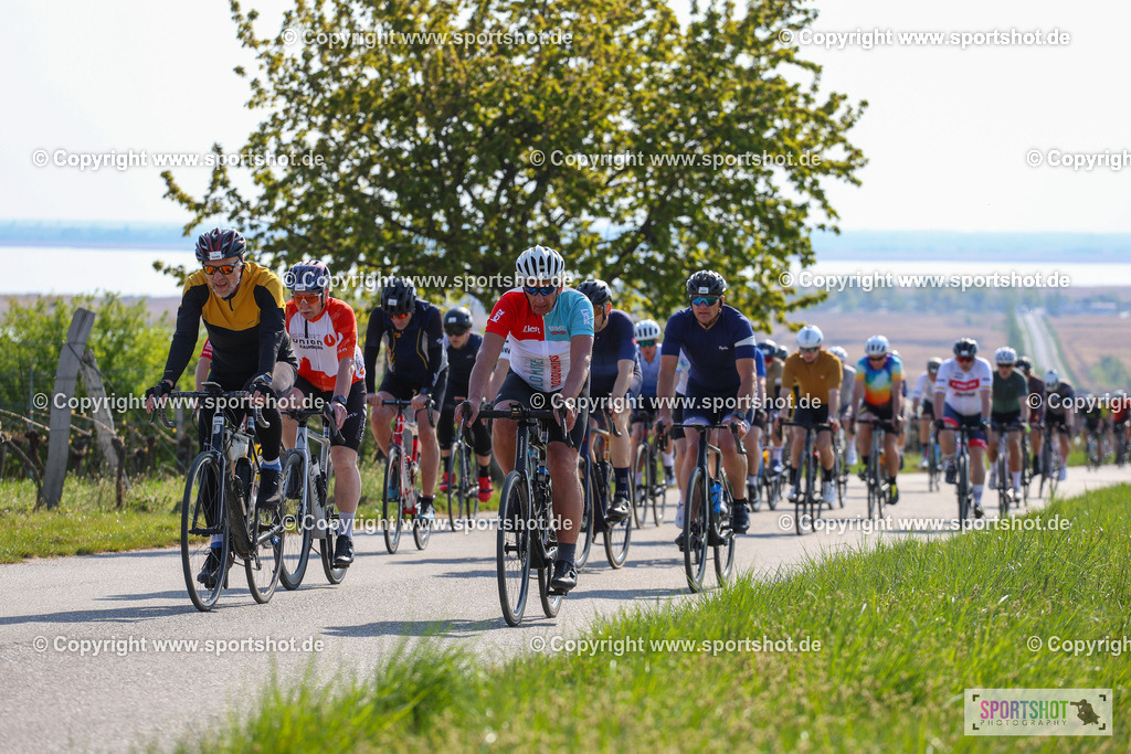 IMG_1858 | @sportshot_your_pictrs #yourpictures#roadtowm2029 #nrm #neusiedlerseeradmarathon #neusiedlersee #neusiedlerseetourismus #burgenland #mörbisch #nrm26 #burgenlandtourismus #voglundco #poweredbyburgenlandtourismus #radsport #rad #marathon #ucigranfondo #visitburgenland #ucigranfondoworldseries