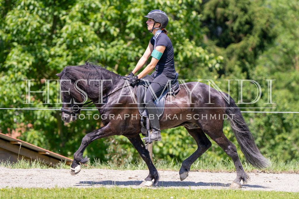 KAI04545 | Ihr sucht einen Fotografen für eure nächste OSI? Ich begleite auch euer Turnier für Islandpferde fotografisch.  - Realisiert mit Pictrs.com