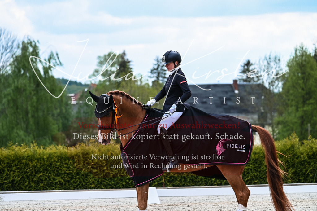 20230513_JK-Röhrsdorf-10-1018 | Pferde- und Turnierfotografie in Westsachsen. Pferdeportraits, Auftragszeichnungen und intuitive Kunst.