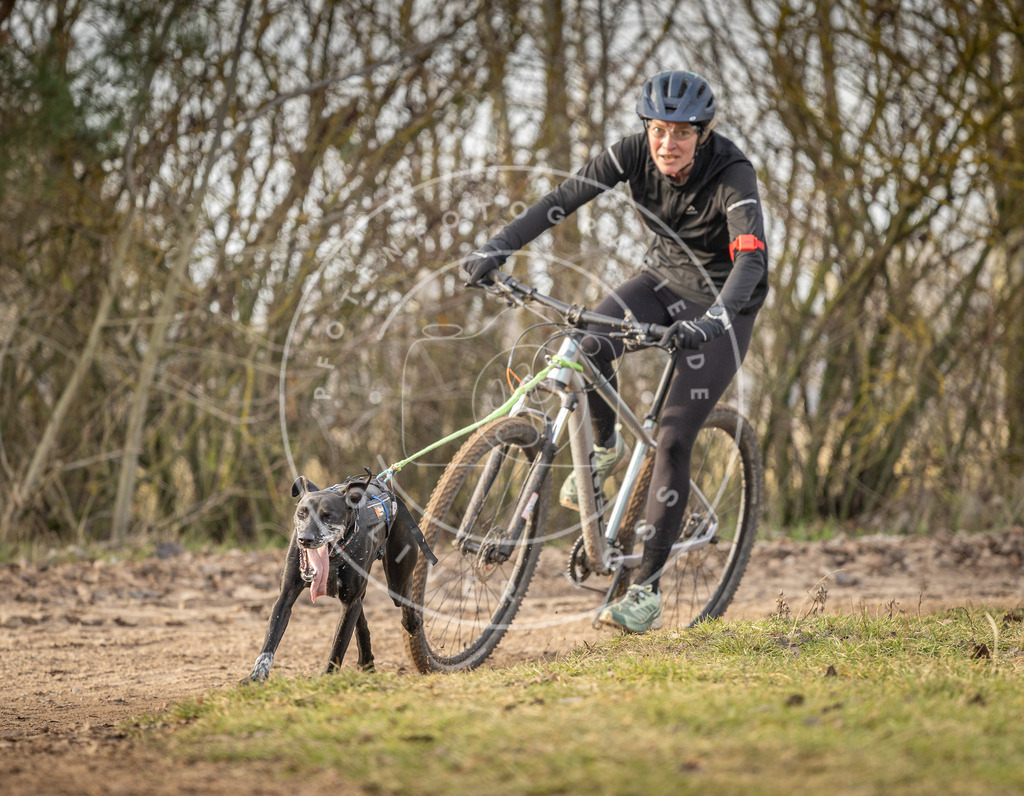 Pfotenfotografie_DV3A8335 | Hundefotografie, Tierfotograf, Pfotenfotografie, Fotoshooting Hund, Hunde Portrait, Hundesport, Hundeportraits, Heideshooting, Hunde, Sportfotograf, Hundefotograf, Turnierhundsport, THS,  - Realisiert mit Pictrs.com