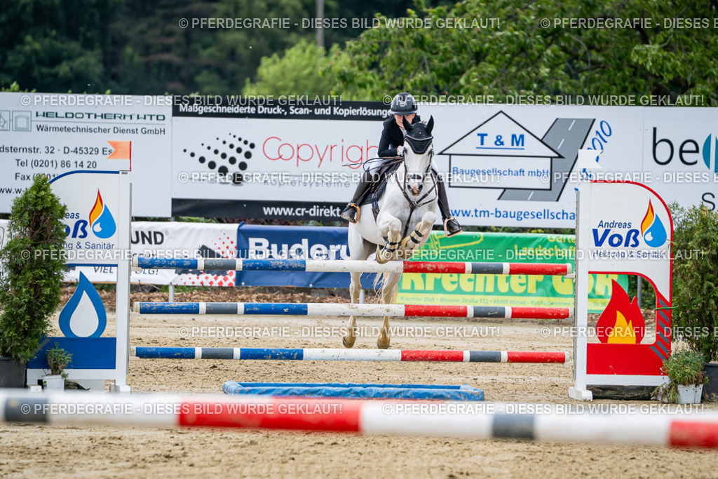 DSC05552 | Pferdegrafie