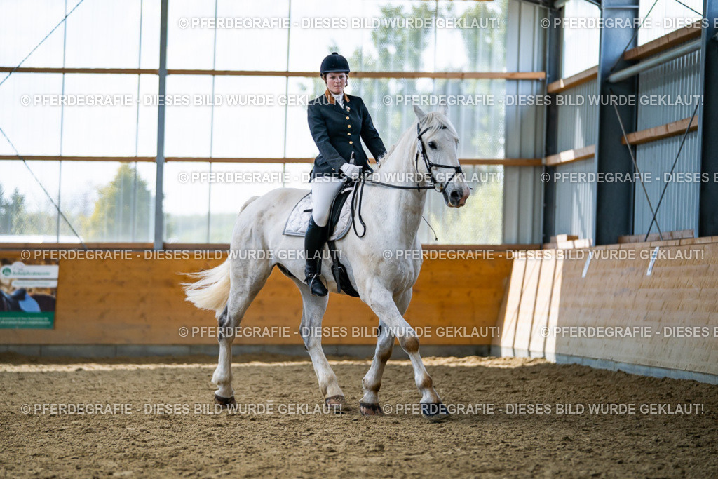 DSC05641 | Pferdegrafie