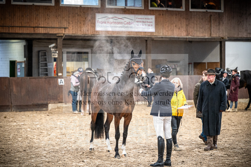 Hallenreittunier Voxtrup 2023 | Entdecke hochwertige Reitturnierfotos von Foto Oger. Professionell, emotional und authentisch – jetzt Lieblingsmomente im Shop bestellen.Deutschlandweite Turnierfotografie. - Realisiert mit Pictrs.com