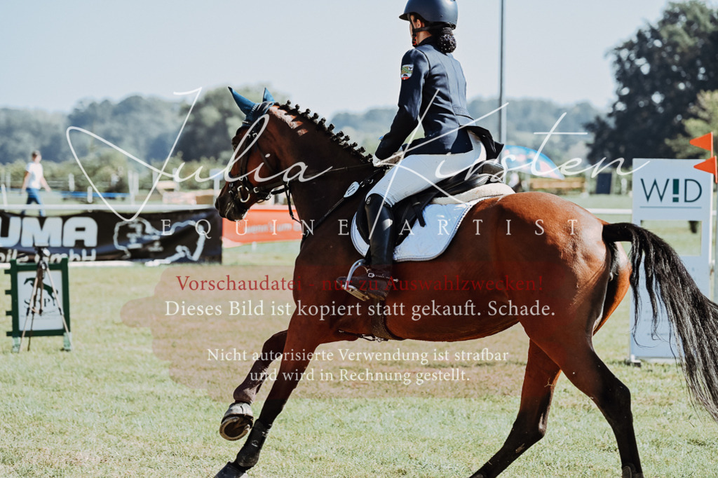 DSC_5549 | Pferde- und Turnierfotografie in Westsachsen. Pferdeportraits, Auftragszeichnungen und intuitive Kunst.