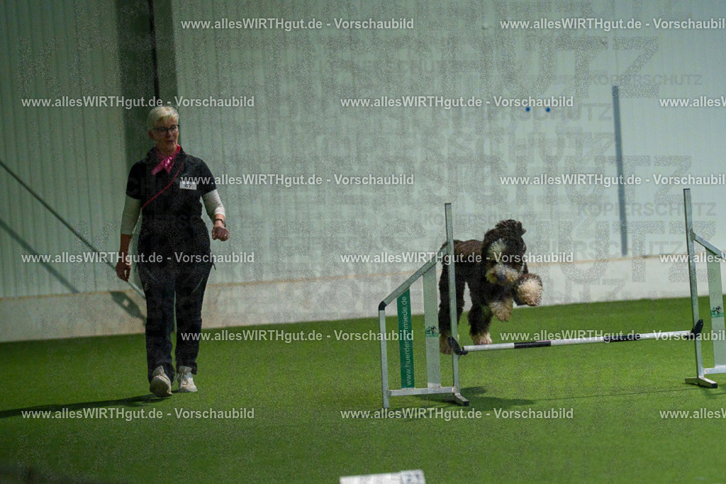 7R508089 | Professionelle Tierfotografie in Mönchengladbach von Daniel Wirth (allesWIRTHgut). Liebevolle & natürliche Bilder von Hunden & Katzen für unvergessliche Erinnerungen.