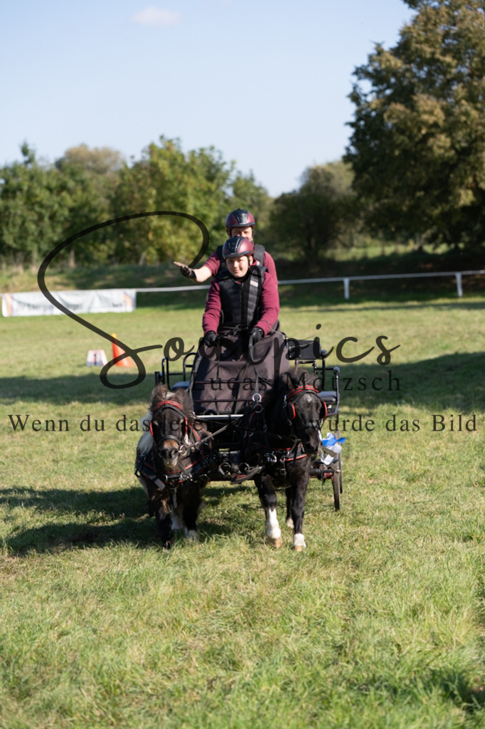 A7V04440 | Pferdefotograf