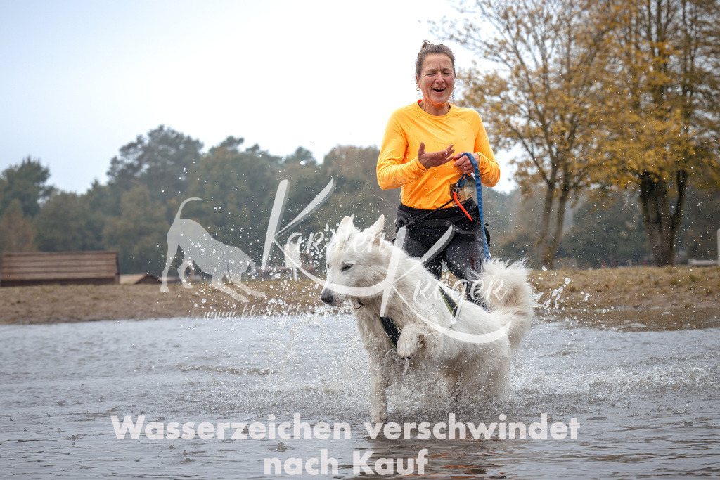 1106_ZZ93029 | kk-dogfotos
