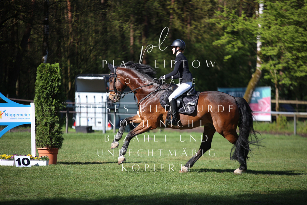 IMGT0143 | pl-fotografie