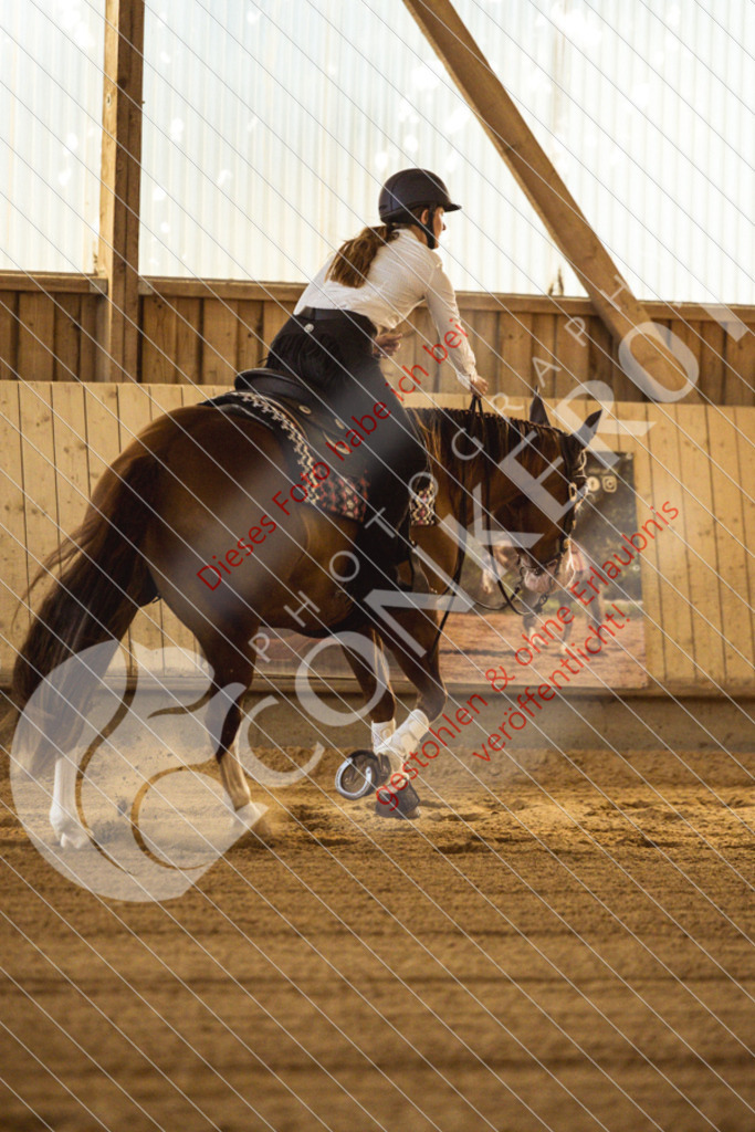 IMG_4954 | Sport-, Event- und Tierfotos in Profiqualität. Einfach auswählen, bestellen und herunterladen. Dein Moment – perfekt festgehalten.