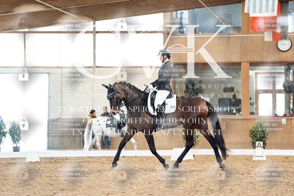 CK908797 | Turnierfotografie Pferdefotografie Trier Rheinland-Pfalz Pferdesport Reitsport Tierfotografie Sportfotografie Pferdevideo Pferdevideografie Equestrianvideography equestrianphotography  - Realisiert mit Pictrs.com