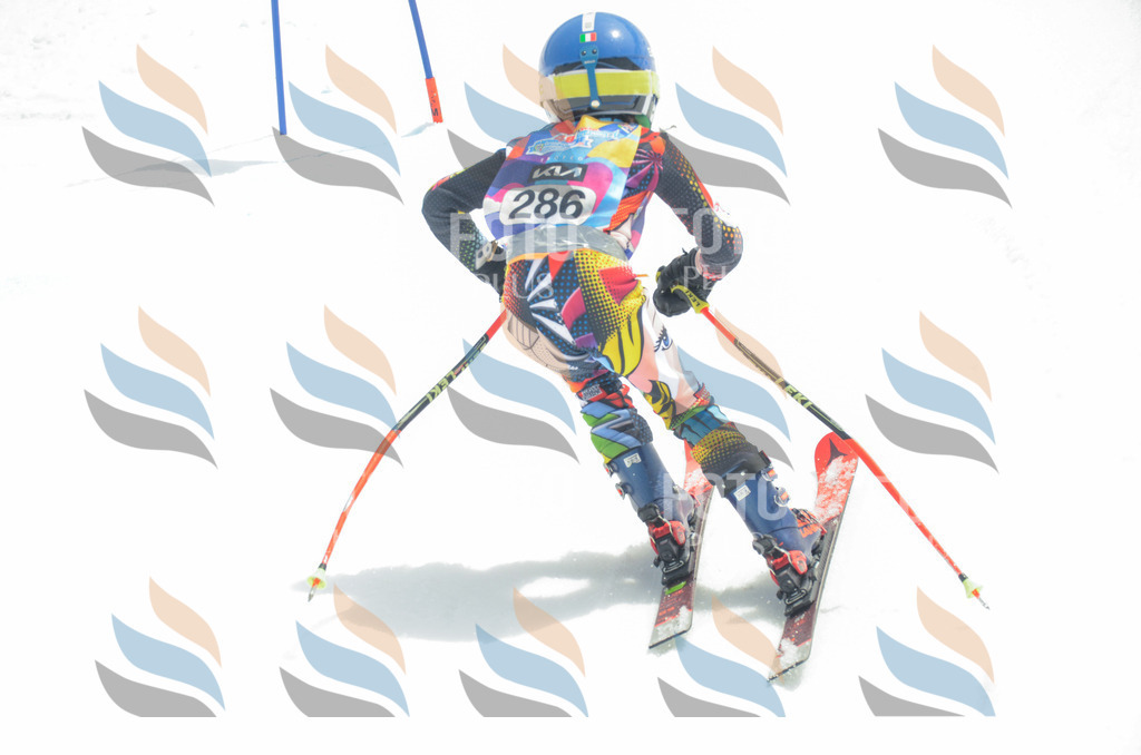 _ELE8032 | holidayphoto