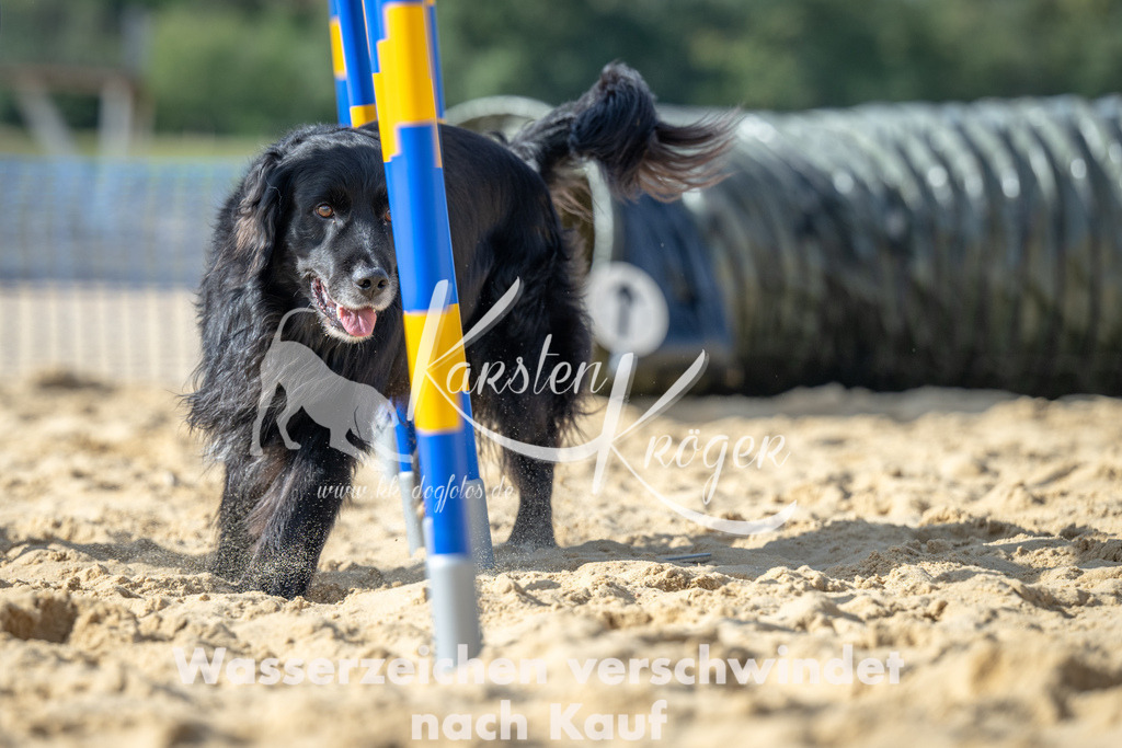 1436_ZZ91651 | kk-dogfotos
