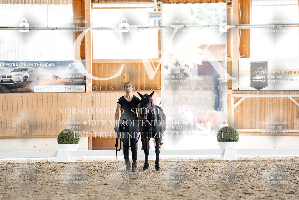 CK908311 | Turnierfotografie Pferdefotografie Trier Rheinland-Pfalz Pferdesport Reitsport Tierfotografie Sportfotografie Pferdevideo Pferdevideografie Equestrianvideography equestrianphotography  - Realisiert mit Pictrs.com