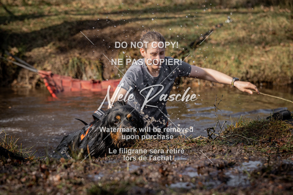 nelerasche_FS1330-1400_131 | nelerasche