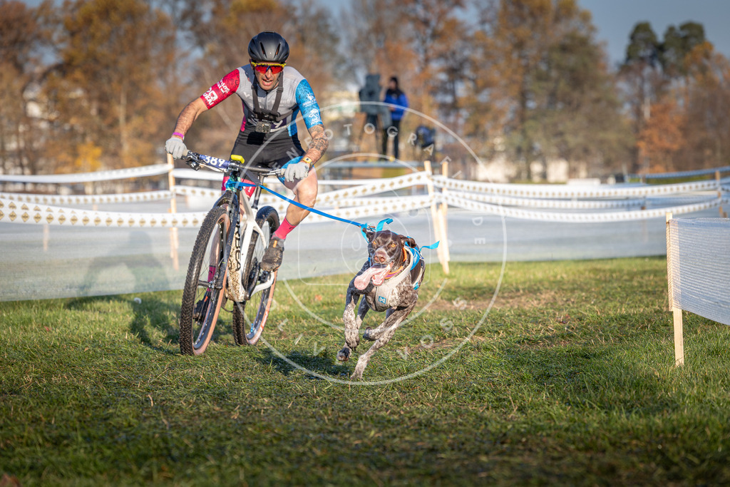 CaniXpix_0L8A3828 | Hundefotografie, Tierfotograf, Pfotenfotografie, Fotoshooting Hund, Hunde Portrait, Hundesport, Hundeportraits, Heideshooting, Hunde, Sportfotograf, Hundefotograf, Turnierhundsport, THS,  - Realisiert mit Pictrs.com
