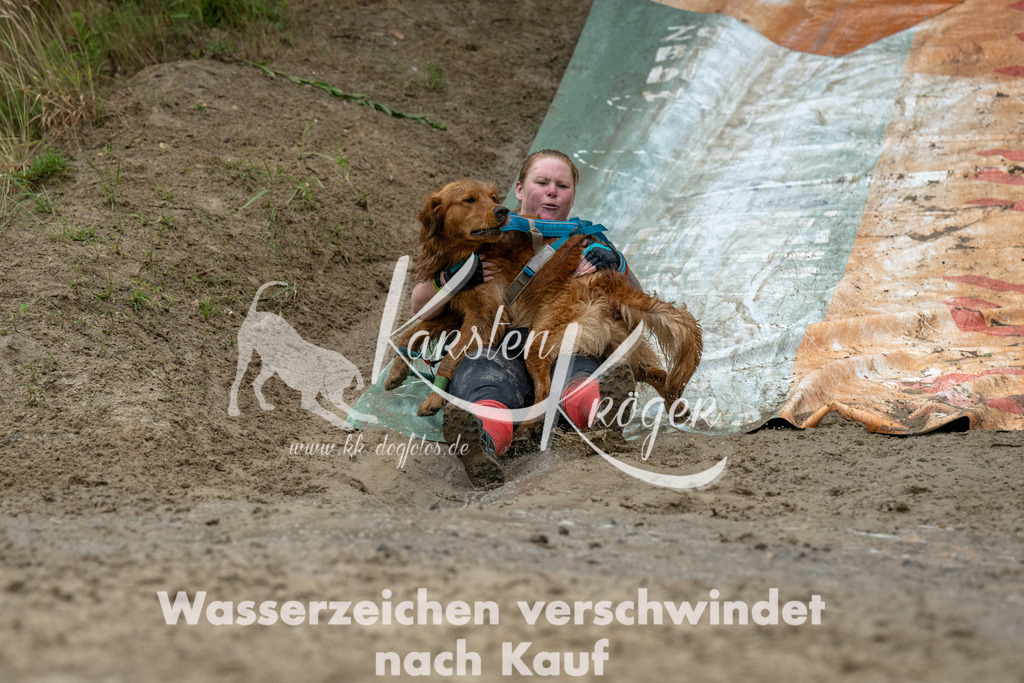 1445_ZZ91784 | kk-dogfotos