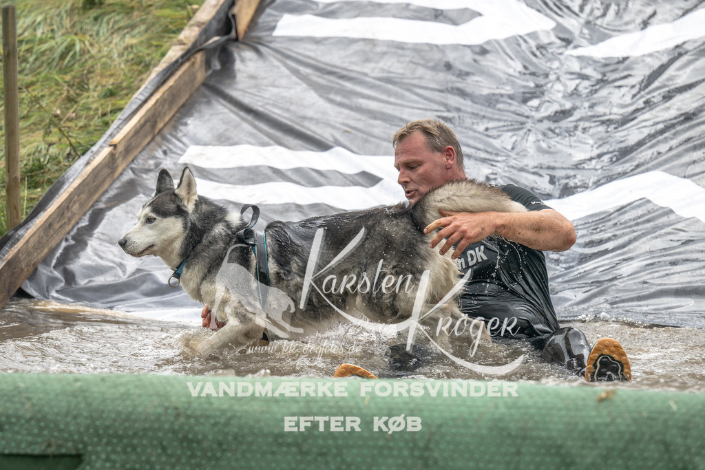 1422_ZZ90189 | kk-dogfotos