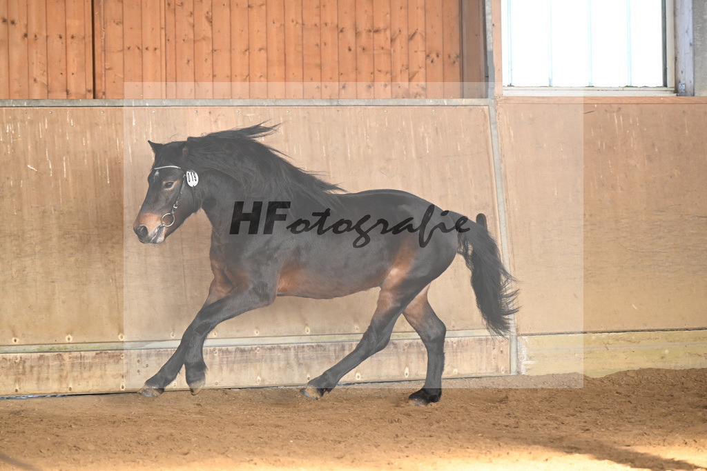 Kat-Nr. 19 Hells Hadrian v. Hells Bells_Guenthner_49250824 | hf-fotografie - Realisiert mit Pictrs.com