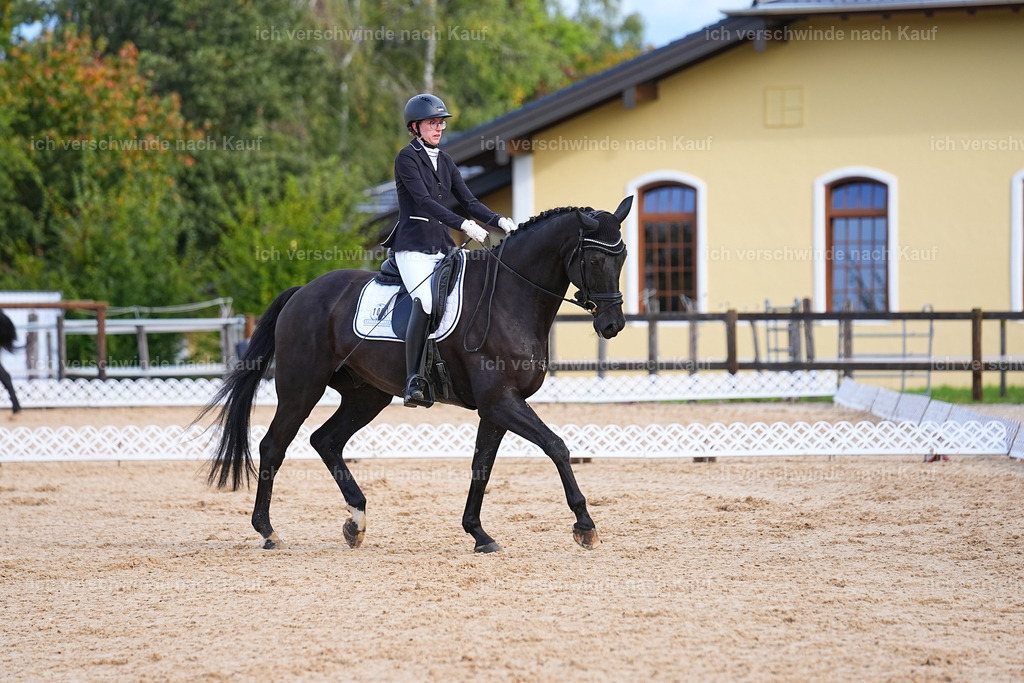 02-108-DRESSUR L_  -Marixx-4830 | working equitationturnier fotograf videograf stoibphotography marixx film working equitation deutschland reitsport turnierfotografie eventfotografie equestrian events
