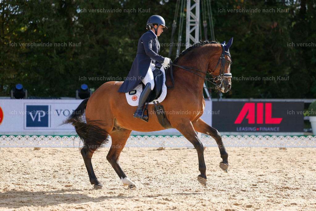 09_2-169-DRESSUR  S_  -StoibPH-5757 | working equitationturnier fotograf videograf stoibphotography marixx film working equitation deutschland reitsport turnierfotografie eventfotografie equestrian events