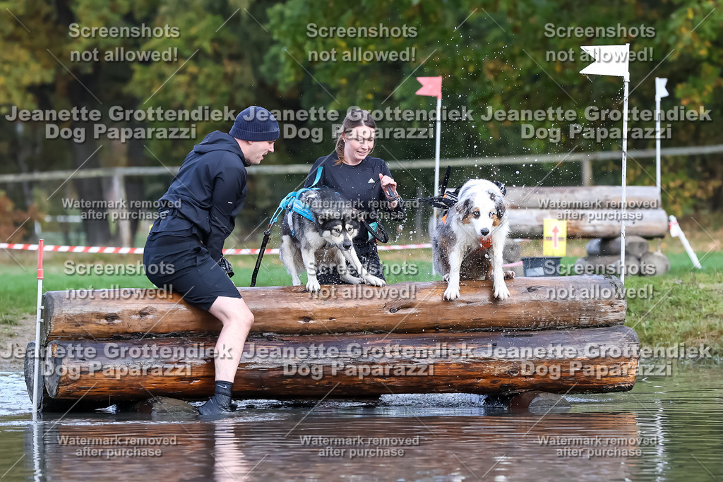 Dog Paparazzi - Strongdog 10-25-6877 | Dog Paparazzi Jeanette Grottendiek Fotografie & Videografie - Realisiert mit Pictrs.com