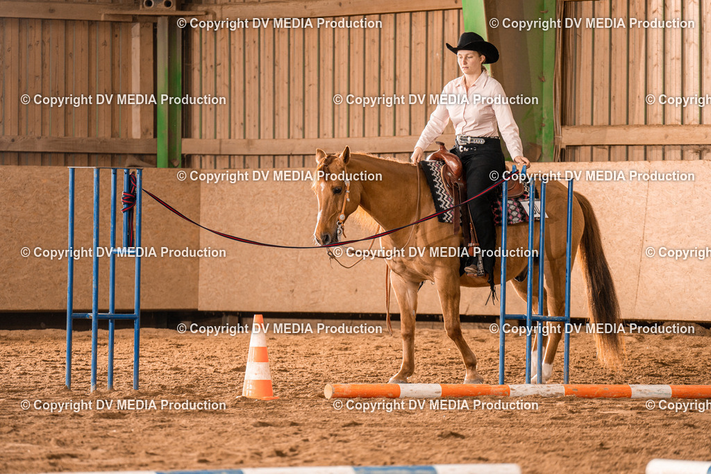 BA300426 | dv-media-shop - Realisiert mit Pictrs.com