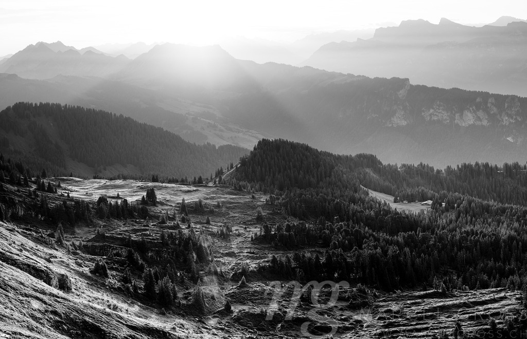 20240902-Niederhorn-77-Pano | Die ideale Geschenkidee für Naturliebhaber. Naturbilder von Marcel Gross Photography für ihr Zuhause in den verschiedensten Formaten und Materialien. - Realisiert mit Pictrs.com