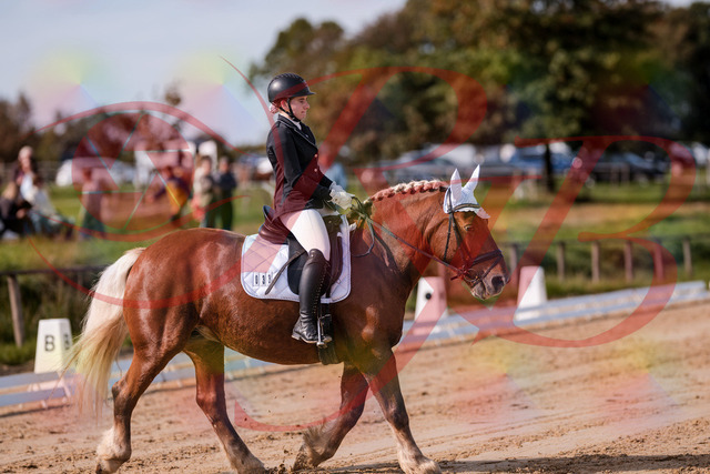 2026_10_03_Siefer-Hof_114105_Z81_83840526 | Professionelle Reitsport-, Turnier- und Eventfotografie von Robert Broda. Galerien mit ausgewählten und bearbeiteten Bildern direkt online ansehen und bestellen.
