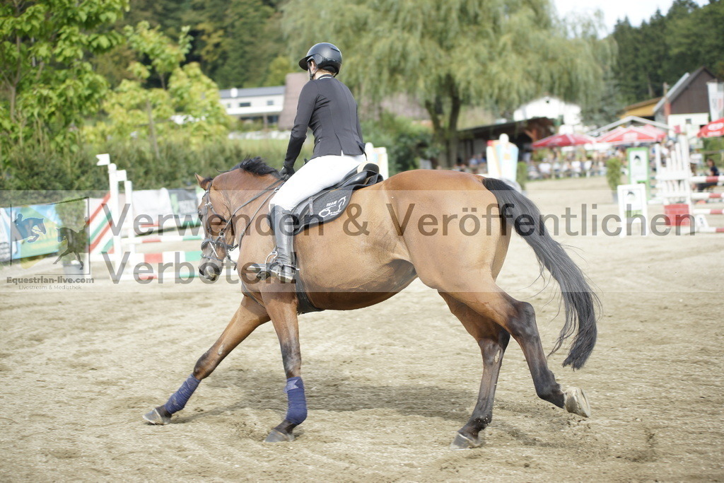 _DSC4386 | equestrian-live-com