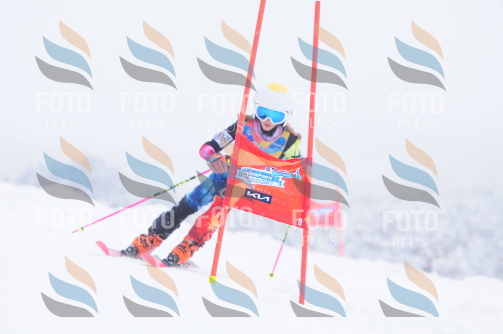 C2578 | holidayphoto