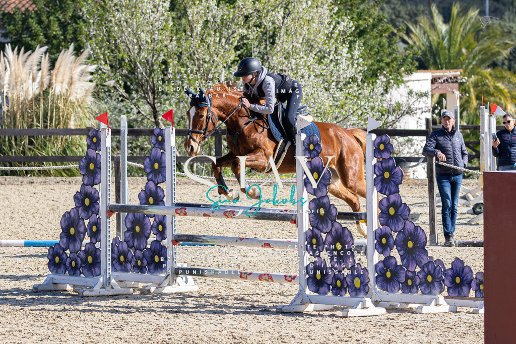 IMG_5418 | s-jay-photography - Realisiert mit Pictrs.com