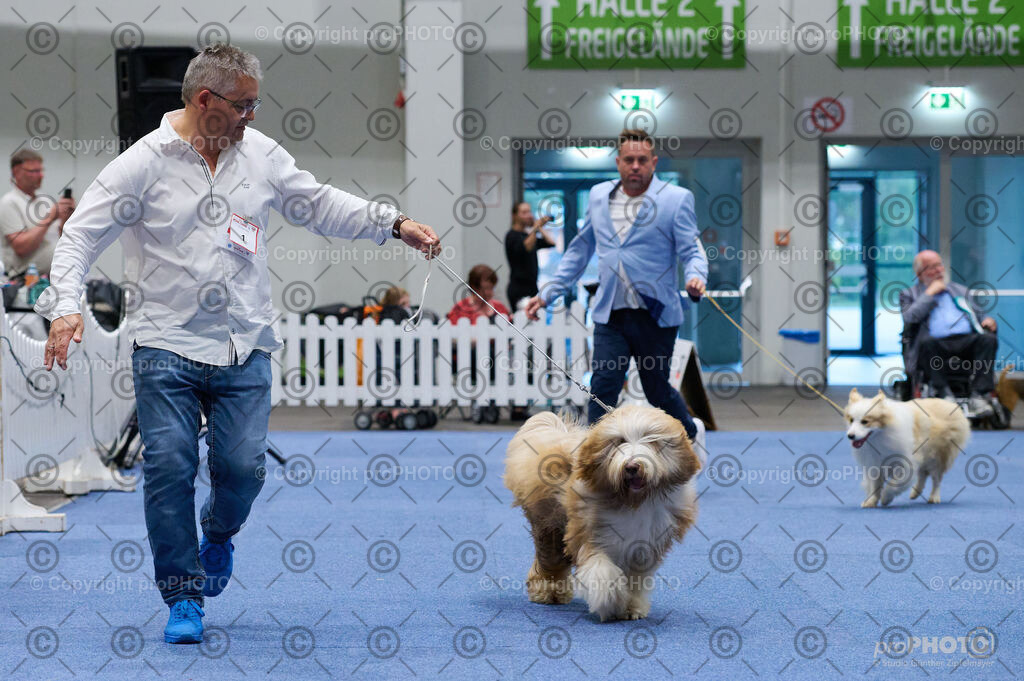 202406_ÖKV-IHA-Tulln24_DSC_3285 | proPHOTO - Realisiert mit Pictrs.com