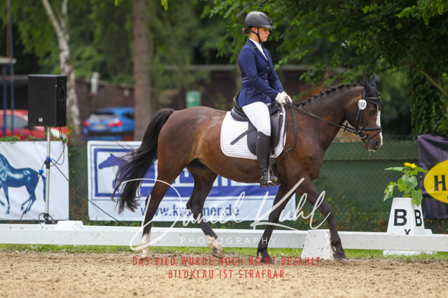 DKP42309 | Turniersportfotografie; Pferdefotografie; Dressurfotografie