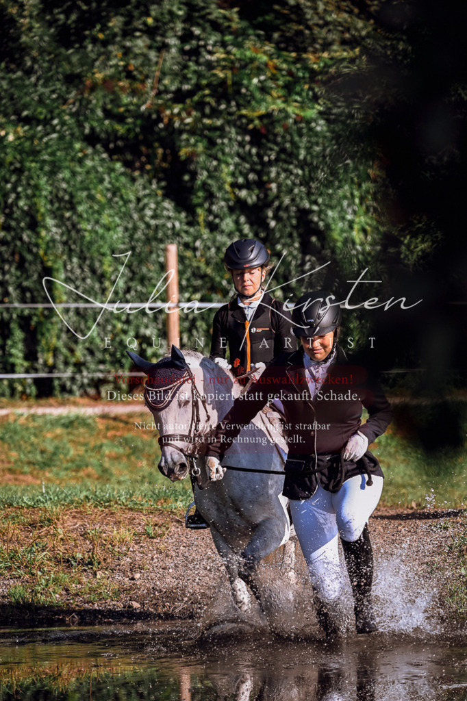 DSC_0442 | Pferde- und Turnierfotografie in Westsachsen. Pferdeportraits, Auftragszeichnungen und intuitive Kunst.