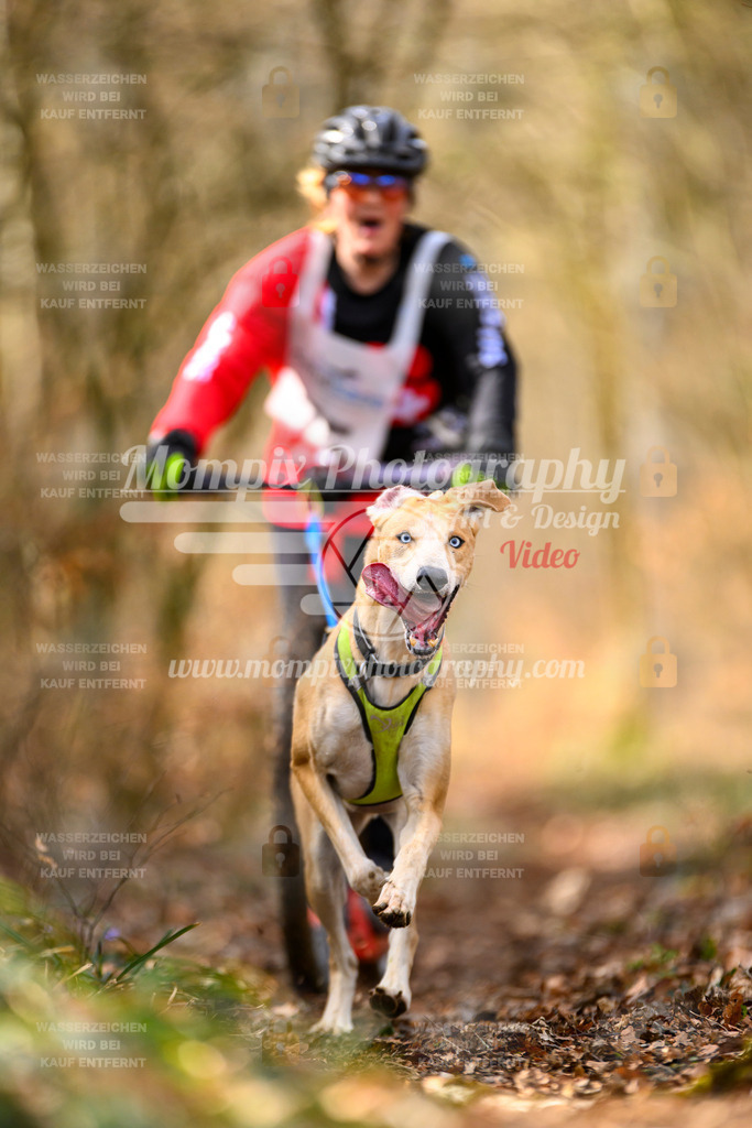 MompixPhotography_ReiatRennen2024_SO_DS1-33 | PayLife