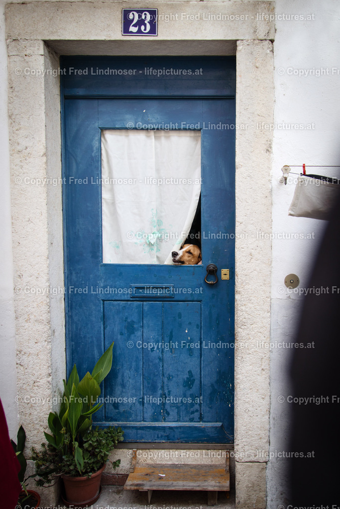 Lissabon-3393 | Fotos und Fotoprodukte - Realisiert mit Pictrs.com