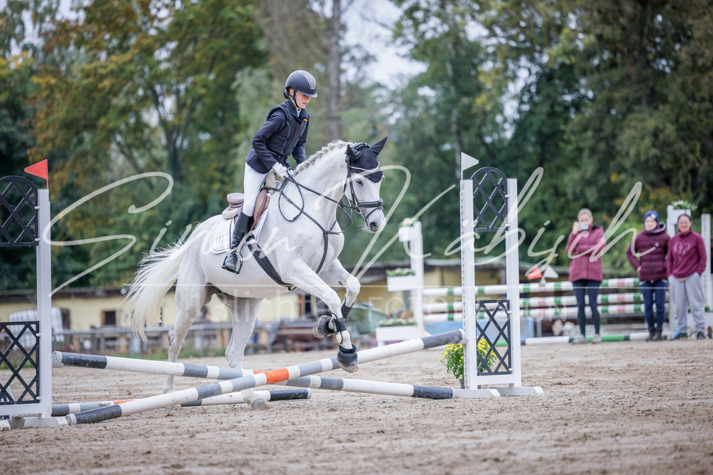 20251012-_3LI2992 | Tierfotografie Pferde, Hunde, Katzen, Haustiere.
Turnierfotografie Reitturniere, Reiten, Springreiten, Dressur in Hanau, dem Main-Kinzig-Kreis und dem Rhein-Main- Gebiet um Frankfurt