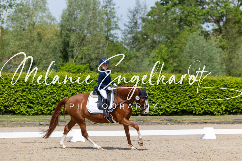 7I8A2596 | melanie-engelhardt-photography - Realisiert mit Pictrs.com