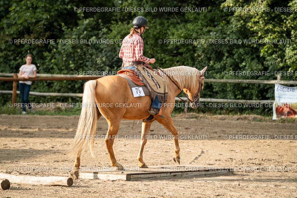 DSC06147 | Pferdegrafie