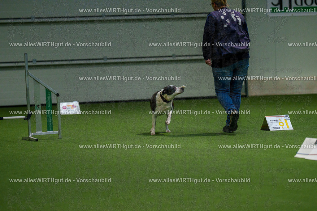 7R504747 | Professionelle Tierfotografie in Mönchengladbach von Daniel Wirth (allesWIRTHgut). Liebevolle & natürliche Bilder von Hunden & Katzen für unvergessliche Erinnerungen.