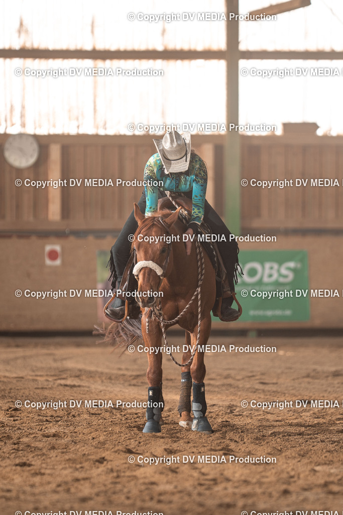 Balingen Tag 2-1502 | dv-media-shop - Realisiert mit Pictrs.com