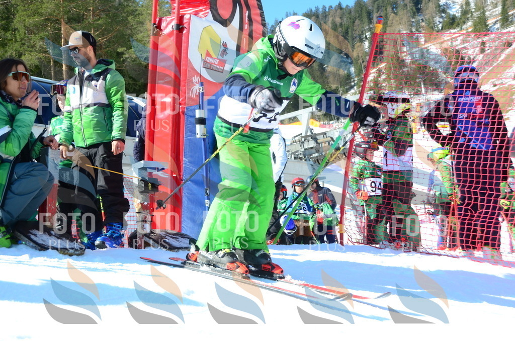 C5264 | holidayphoto